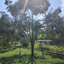 3 Acre Freehold Agriculture Land For Sale