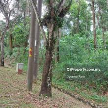 Land For Sale @ Taman Rawang Perdana