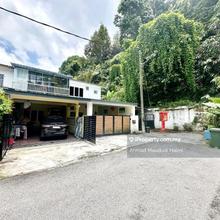 Freehold, Renovated