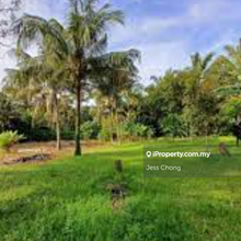Durian Farm at bandar sg long Freehold For Sales 