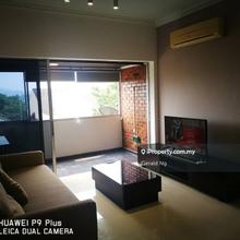 Bangsar Indah well kept Unit