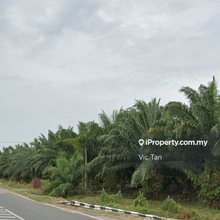 30 Acres Freehold Agricultural Land For Sale !