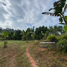 Hulu Langat Sungai Tekali Agriculture land, Sungai Makau Hulu Langat, 
