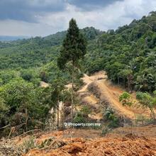 Seremban Durian land for sale below market