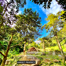 Agriculture land for Sale