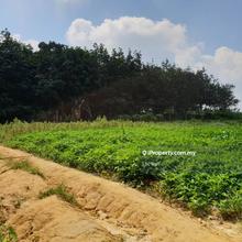 Sepang Land for Sale Freehold 7.5 acre agriculture land