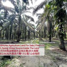 108 Acres Tapah oil Pam Agriculture Land For