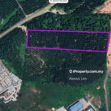 For Sale - 310000sqft Agriculture Land @ Seelong, Kulai