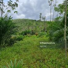 Freehold Agriculture Land Selandar Melaka Limited for Sale 