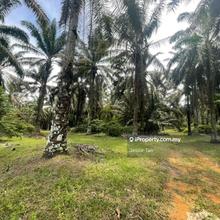 Air bemban kulai agriculture land for sale