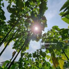 Bungalow land for Sale