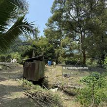 Bentong Durian Farm With Matured Musang King Trees For Sale