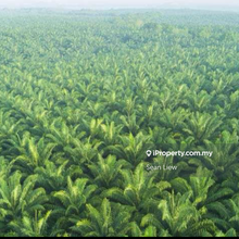Salak Tinggi, Dengkil, Sepang Land For Sale