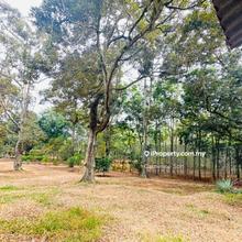 Bukit Lintang Durian Farm 4.1ac Freehold Agriculture Land For Sale