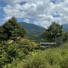 Agriculture land for Sale