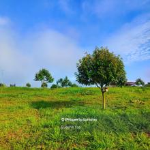 Agriculture land