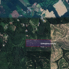10 acres of fruit farm 5 mins from main road in Johol Negeri Sembilan