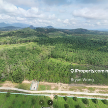 Karak Durian land For Sale