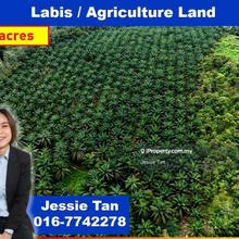 Labis agriculture land for sale