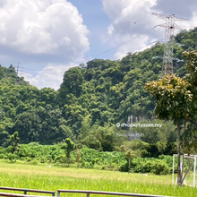 College Freehold Land