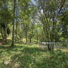 9 Acres Freehold Agriculture Land with Agarwood Kuala Lipis
