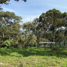 Agriculture Land For Sale Mantin 