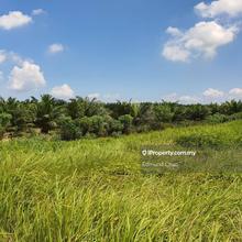 Kuala Selangor Agriculture land next to main road 