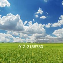 Industrial Land at Glenmarie For Sale