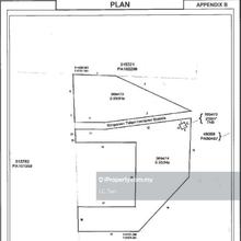 Auction/Lelong