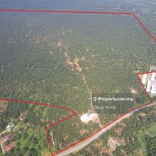 Batu Kurau Plantation for Sale
