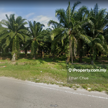 Agriculture land for Sale