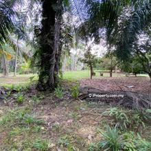 Gambang 1 ekar Land for sale kelapa sawit 
