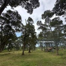 Pekan Nanas Pontian Ulu Choh Gelang Patah Agriculture Land