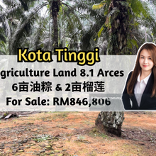 Kota Tinggi @ Mawai, Agriculture Land, 8.1 Arces