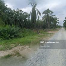 Selangor Jenjarom Freehold Agriculture Land For Sale