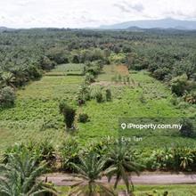 Zoning Residential Land at Sedenak for sale