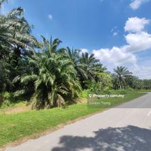 Sungai Buloh Industrial land for sale