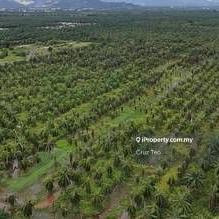 High Value Land at Sungai Choh Serendah
