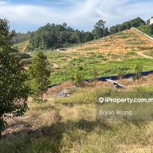 Freehold 2 acres Durian Farm For Sale 