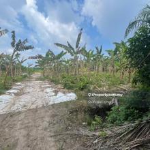 For Sale: Fertile Land with Banana Plants in Kanchong Tengah, Banting