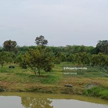 5.125 acres Durian Land For Sale in Karak, Kolej Komuniti Bentong