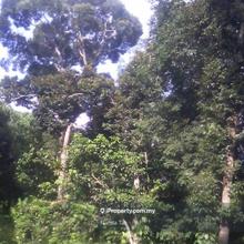 Residential land for Sale