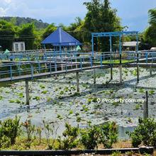 Broga hill land for sell neigbour to Sak Dato Temple