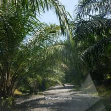 Agriculture Land for Sale @Jalan Bukit Cerakah, Bandar Puncak Alam