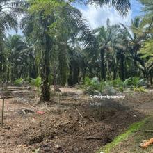 Pontian Pekan Nenas Kangkar Pulai Ulu Choh Gelang Patah Skudai