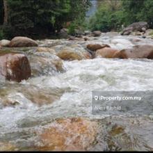 Spacious 10.49 Acre Agricultural Land Kg Ulu Riau Lubok Jong, Baling
