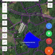 5.78 Acres Durian Orchard at 24th mile For Sale