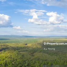 Johan setia Agriculture land for sale 