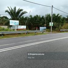 Palm Oil Plantation @ Selama for Sale