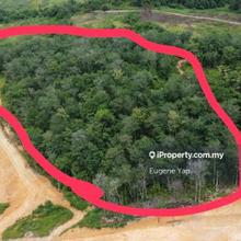 Freehold Agriculture Land For Sale